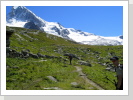 08/2008: Im Zustieg zur Cabane de la Dent Blanche (3507 m)
