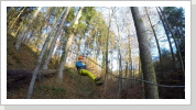 11/2016: Flying Fox (Ziplining - Seilrutsche)